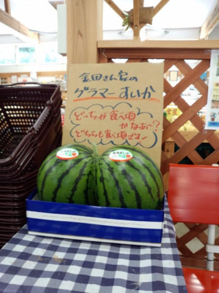 Illustration for article titled Check Out the Sexy Butt on These Watermelons